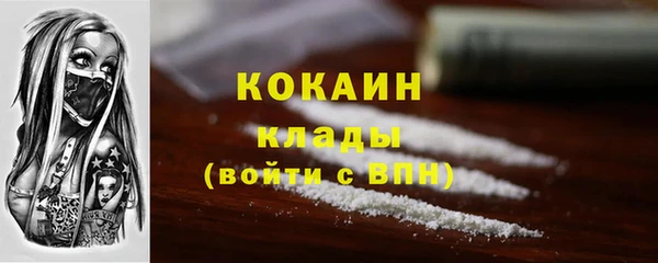 меф Снежинск
