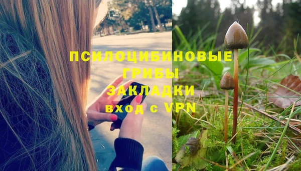 шишки Белоозёрский