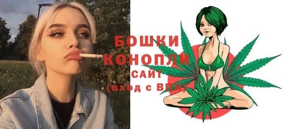 меф Снежинск
