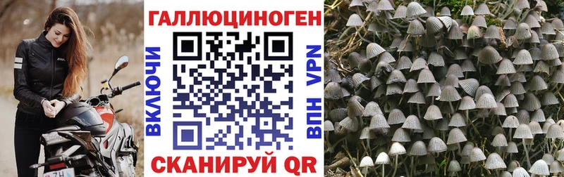 Галлюциногенные грибы мицелий  Юрюзань 